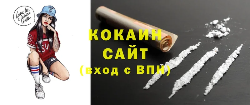 как найти наркотики  Малая Вишера  Cocaine 97% 